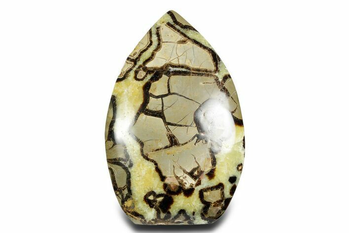 Free-Standing Polished Septarian - Madagascar #361967